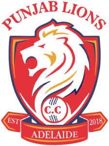 Punjab Lions Cricket Club