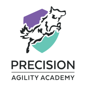Precision Agility Academy