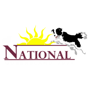 6th Border Collie National 2024